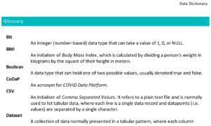 Project glossary 