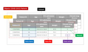 CoDaP data quality artefacts